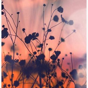 Meet your Posher, Mattie